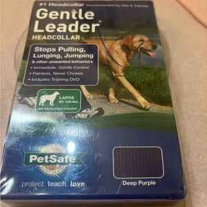 PetSafe Training Kit with Purple Headcollar